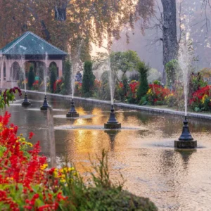Enchanting Kashmir Experience