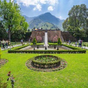 Best Adventure Colorful Package