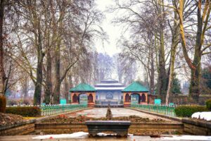 Discover the serene autumn beauty of Shalimar Bagh garden, Srinagar with vibrant fall colors.