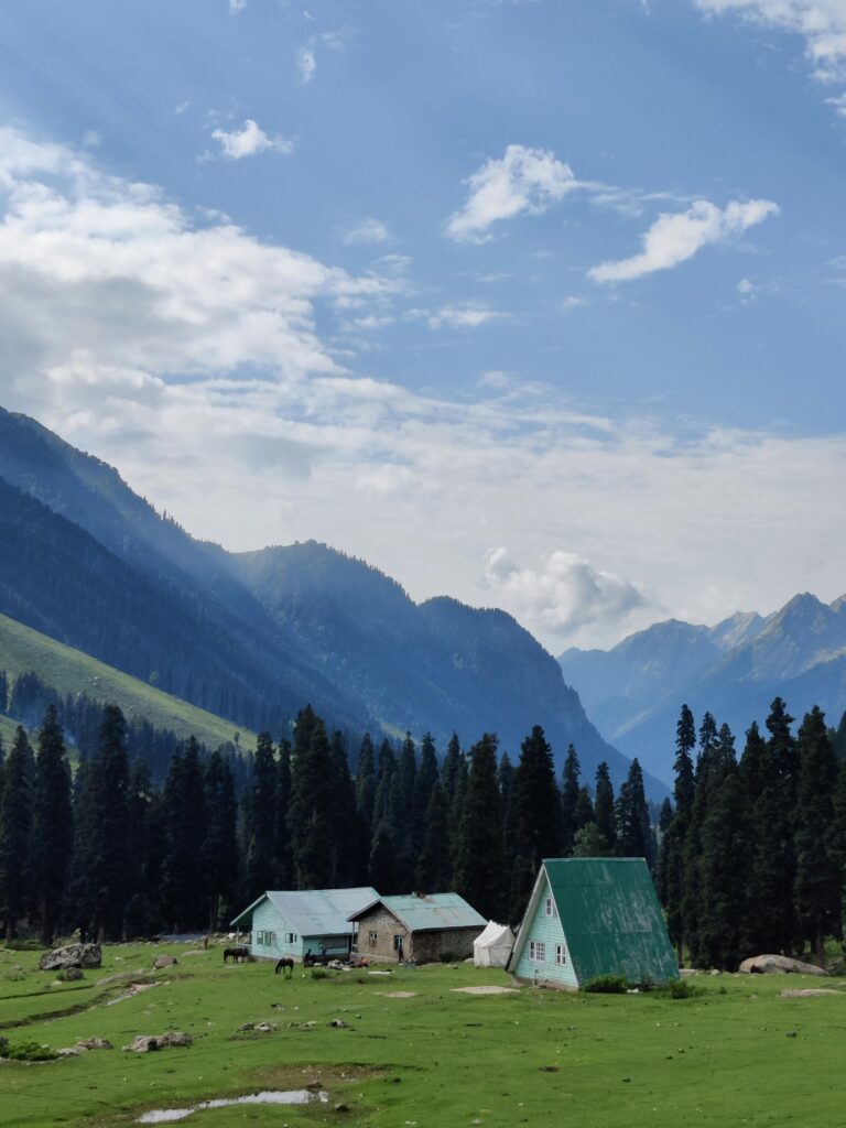 Idyllic mountain landscape with houses, pine forest, and blue sky in a serene valley.